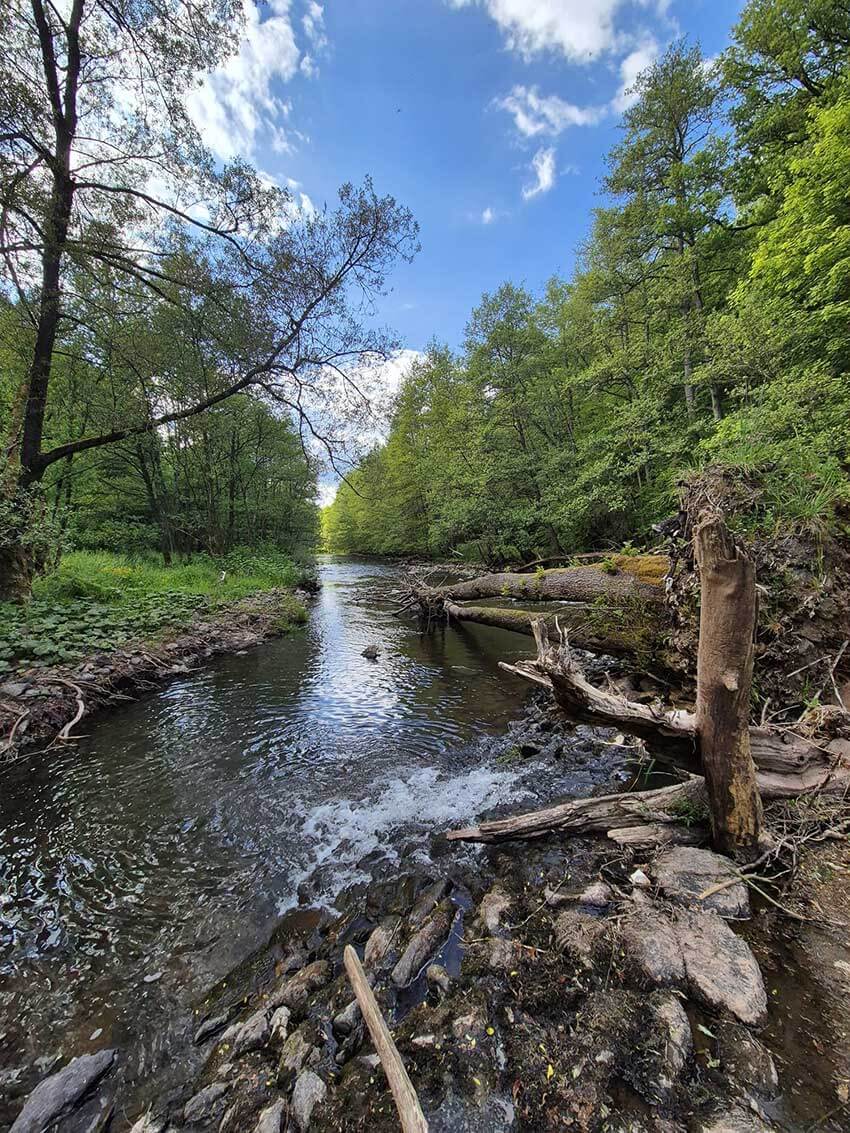 Blick vom Paterswehr flussabwärts  