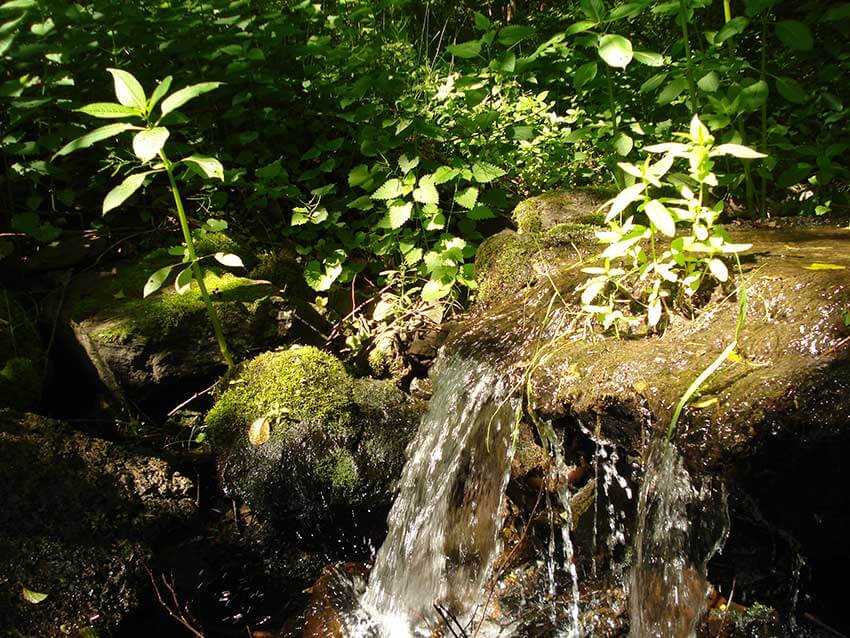 Detailaufnahme Abschlag