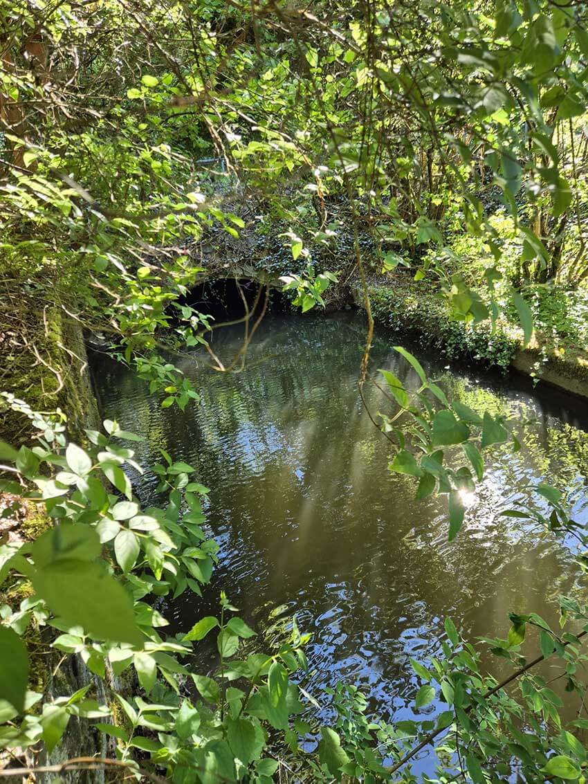 Mühlgraben (Foto 1/2)