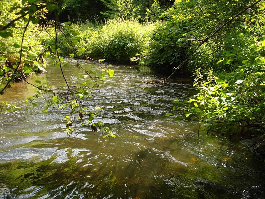 Der Untergraben (Auslauf) der Turbinen